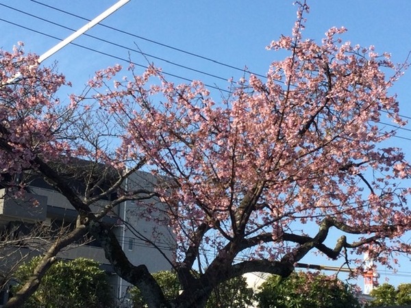 766ECF40-A219-4EA3-B6A5-8AEE3DB16C6D