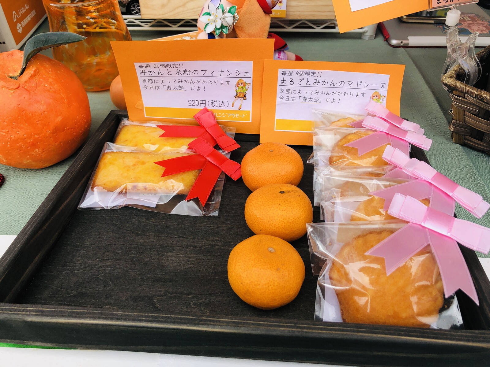 紀州和歌山に沼津のみかんが 沼津つーしん