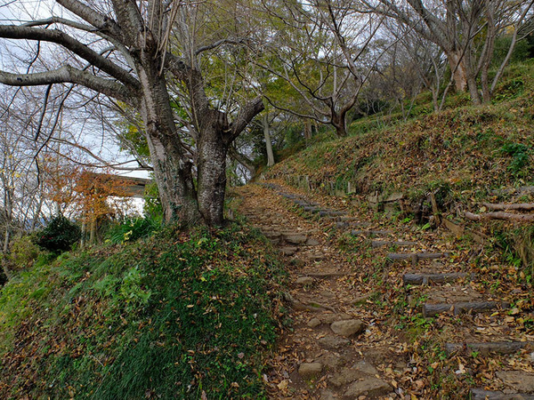 himori (5)