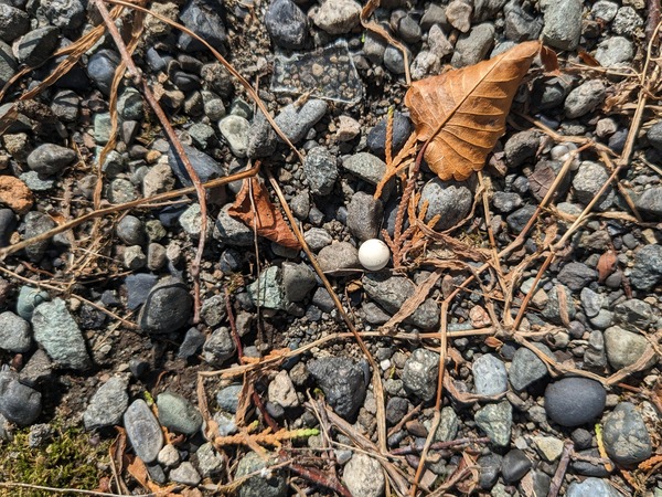 PXL_20230819_055442117