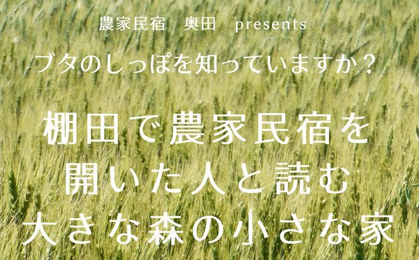 棚田