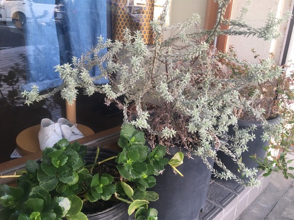 35AD406B-DB3B-4EF9-9165-C5C0F3624C65