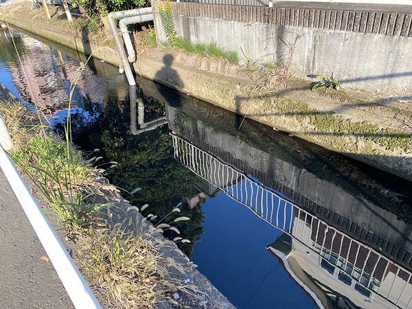 【ひゃっこい！湧水（２周目の57）】大真商会の前（エコひろば東原）の湧水（沼津市東原）