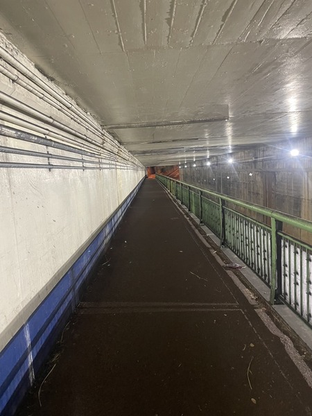 D8A3F67E-1122-4592-9055-1B7C795E3E17