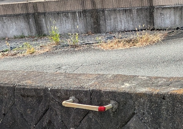 PXL_20251129_040659409