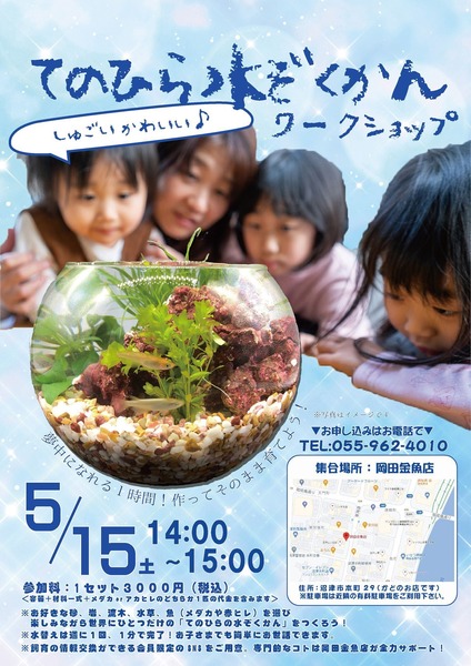 てのひら水ぞくかんチラシ（５月）