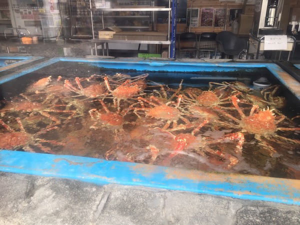 273B9933-63F3-47A3-B680-BFAFB732BB01