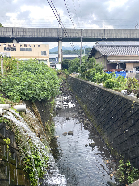 ishikawa12