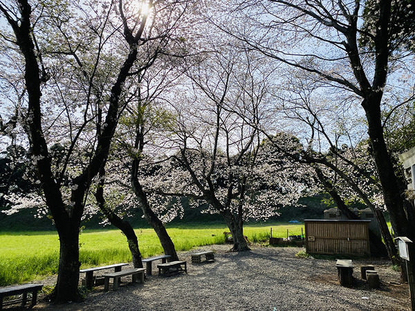 koukokuji (6)
