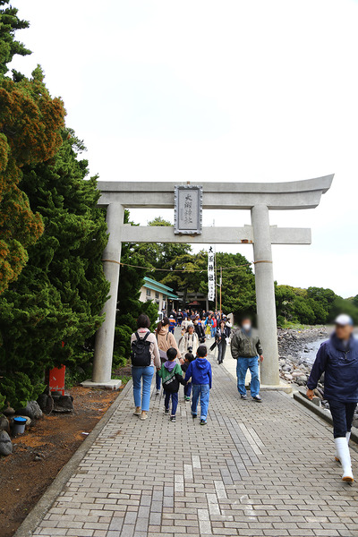ose (6)
