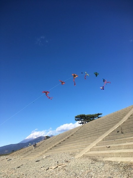 74FC816F-4526-4253-AA43-E75EE3112DF3