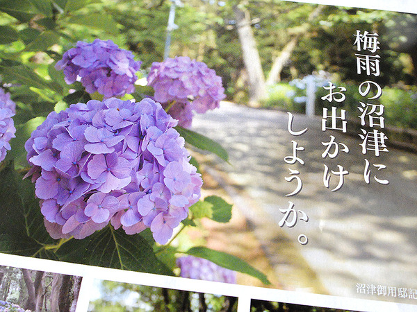 kouhounumazunnn (15)