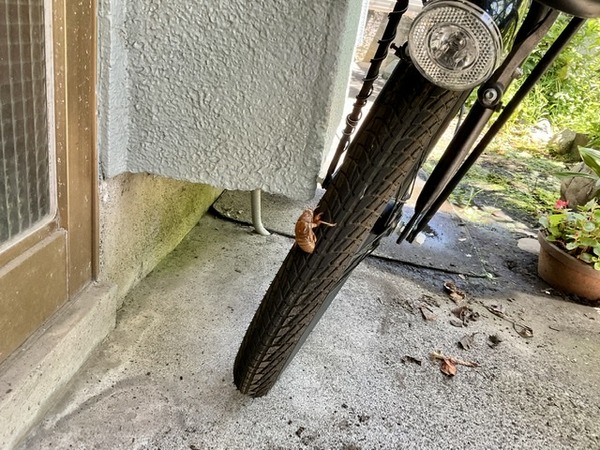 94A93EED-FE97-414D-A9D1-3A09B6769746