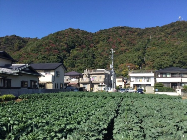 E23EF4EB-968E-4128-9C16-016F65FAAD28