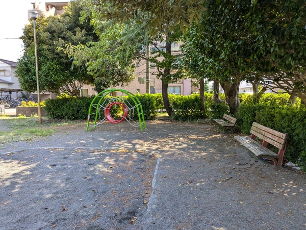 PXL_20240818_044620146
