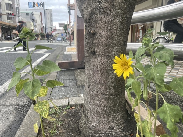 1D0A6B84-357B-4378-A153-481190E7F22B