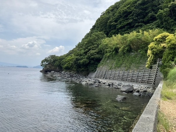 961C7456-F5B9-4ECE-8E1D-2F5FD03E8851