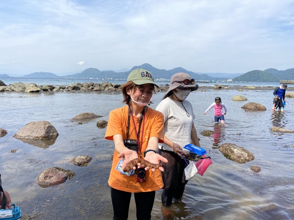 ながいなまこ