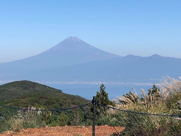 126051106_387515982661317_7045138370673990477_n