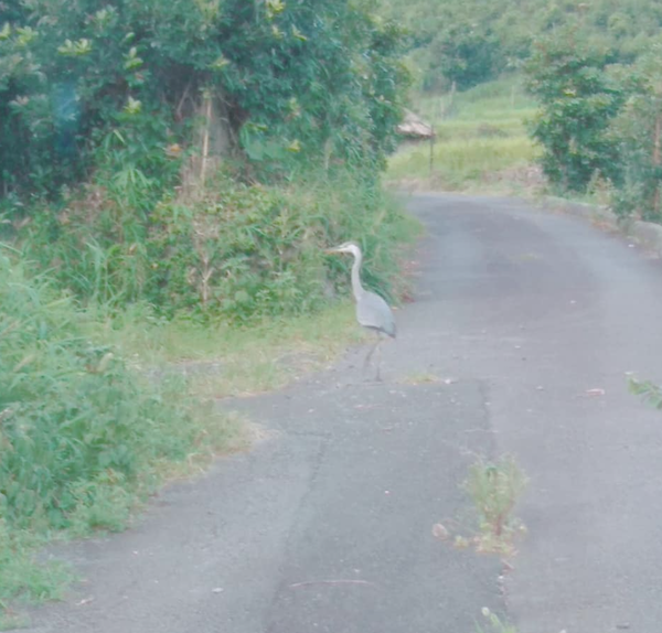 スクリーンショット 2020-12-05 19.19.59