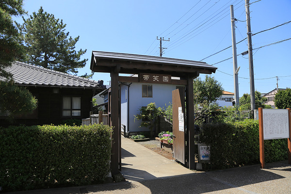 asagao (4)