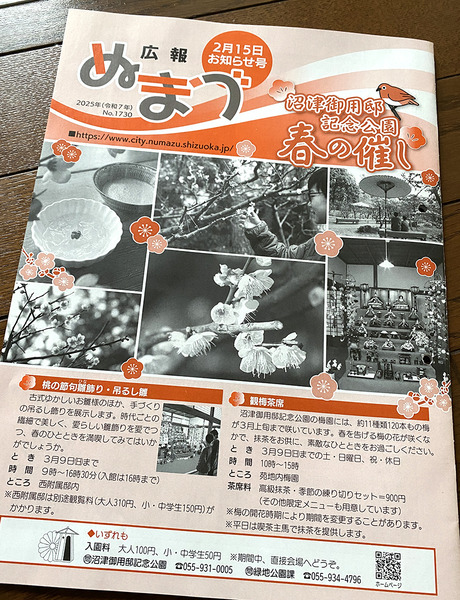 kouhounumazu (1)