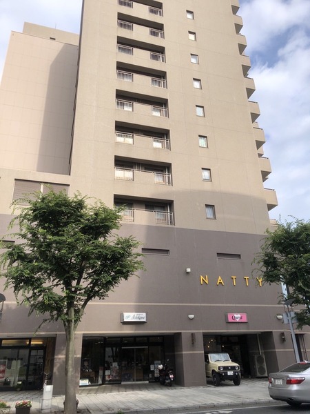natty 2