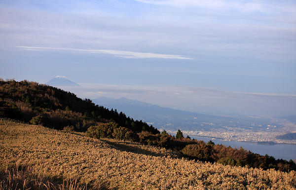 kinkan05