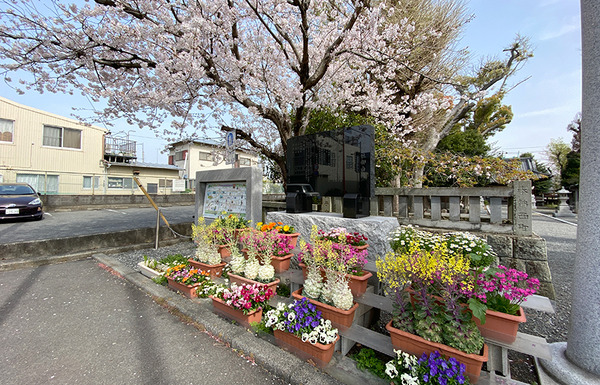 sengen01