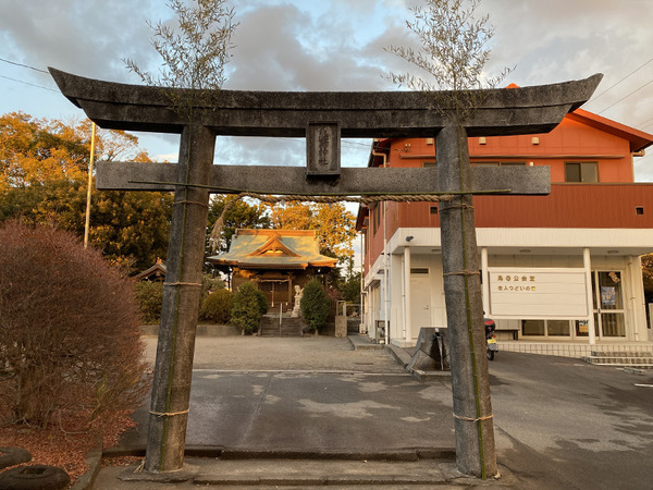 toya (6)