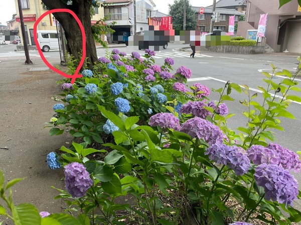 C6B54A08-0108-4E78-A68B-25374F7A94D0