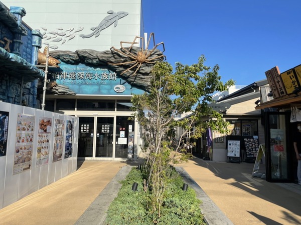shinsen (6)