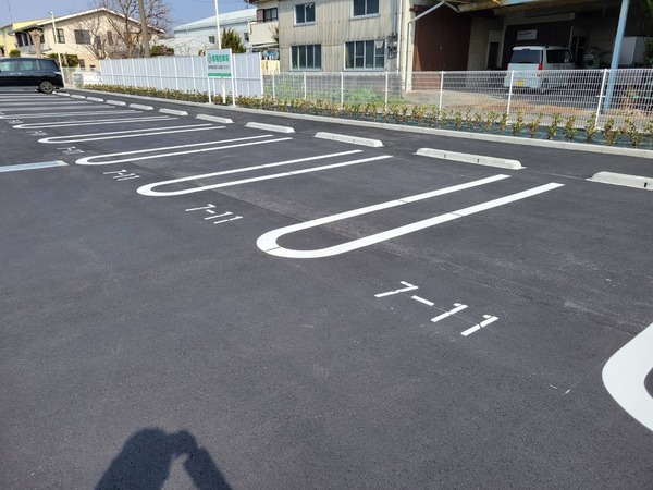 1647244061513