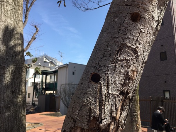 7F1AEB5F-1B30-4F4A-89F8-217F06A29907