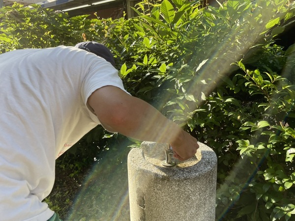 3C686BF0-EC58-4009-B4B8-93C9E6973652