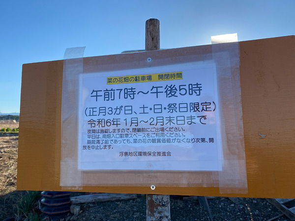 nanohana (4)