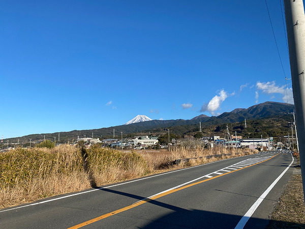 nanohana (6)
