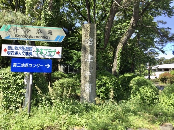 DD8634FD-8155-4DD1-A312-3A64EE453433