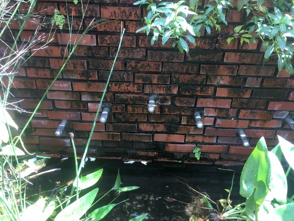 213BD73B-AAB4-4642-8A54-2B8263227F04