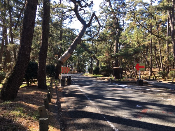 C47FF8A3-D192-44BB-A3FF-B432948FF0AB