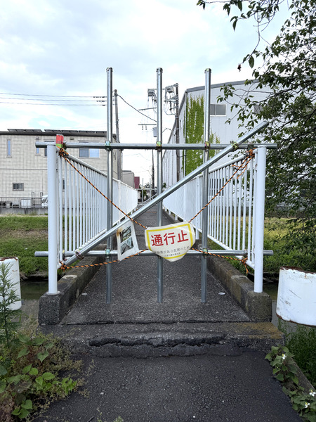 hashi (4)