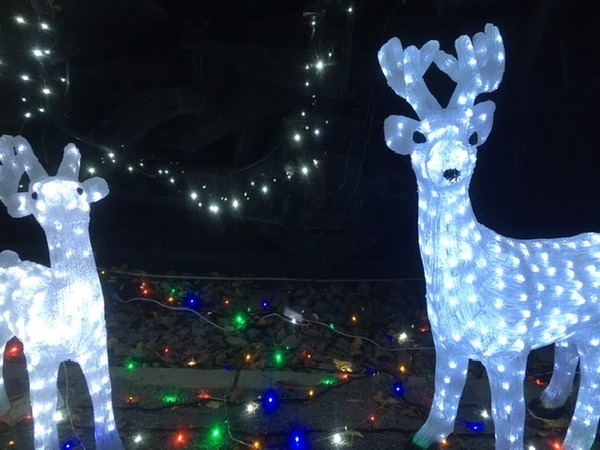 3DD25DF8-BAE3-4D4A-9BEC-49325D35CA11