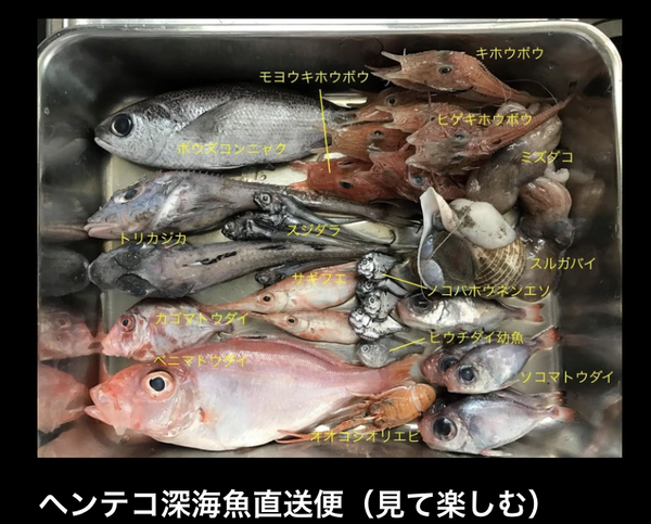 スクリーンショット 2020-11-30 19.32.55