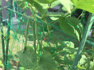 E45111EA-CC2E-479E-A4E5-76F8A55D69AC