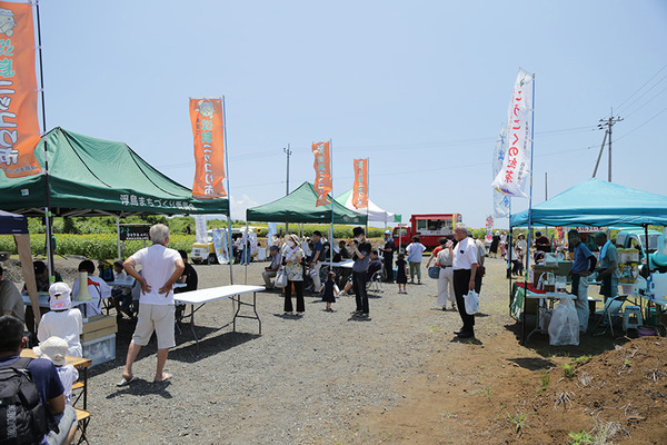hima (4)