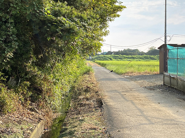 ooshima (7)