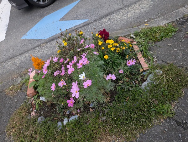 PXL_20251111_220915130