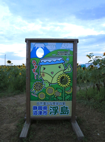 himawari (9)