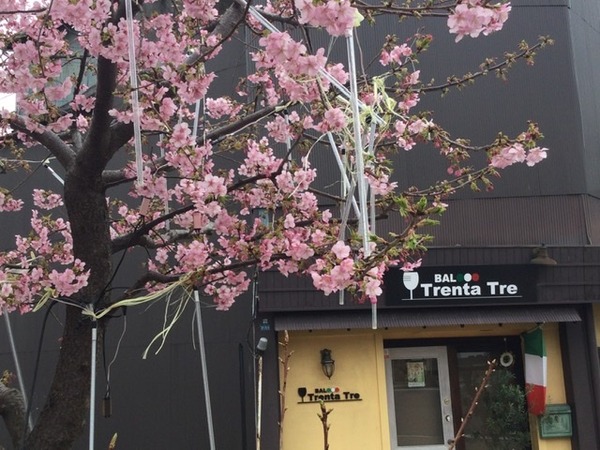 65BEF876-95AC-40F0-93E3-977361828267