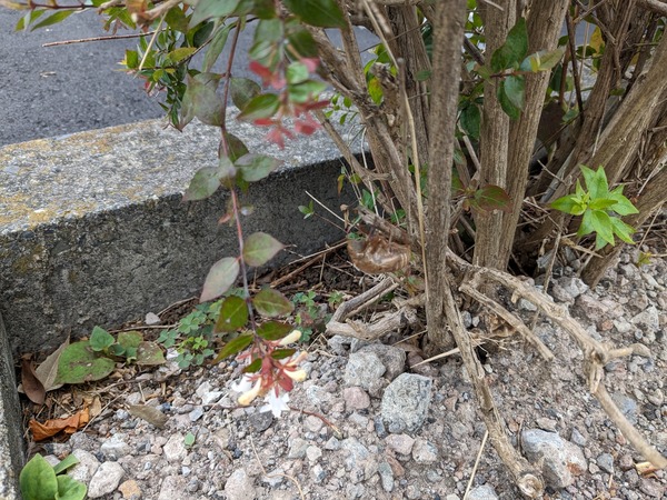 PXL_20230715_010617959